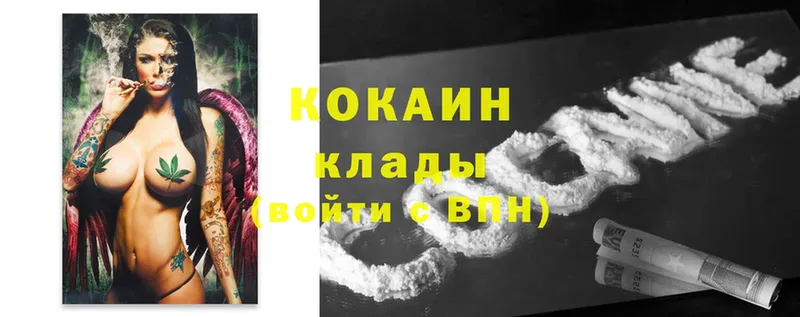 дарнет шоп  Новозыбков  Cocaine VHQ 