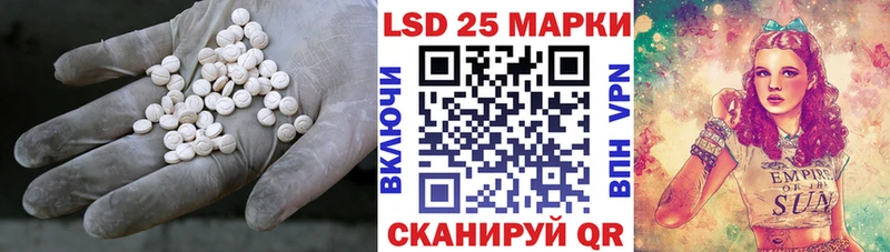 kraken ONION  цена наркотик  Новозыбков  это наркотические препараты  Лсд 25 экстази ecstasy 