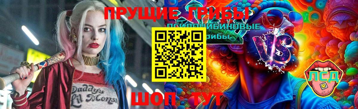 Псилоцибиновые грибы MAGIC MUSHROOMS  Новозыбков 