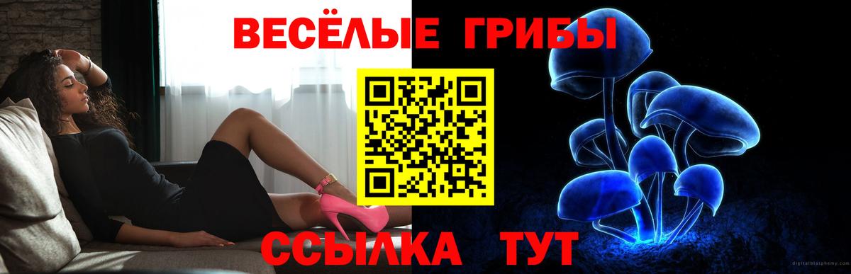 Псилоцибиновые грибы прущие грибы Новозыбков