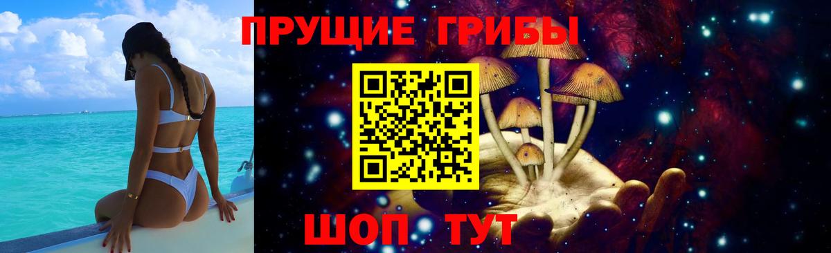 Новозыбков  Псилоцибиновые грибы Cubensis  Вход с VPN  Галлюциногенные грибы Psilocybe 