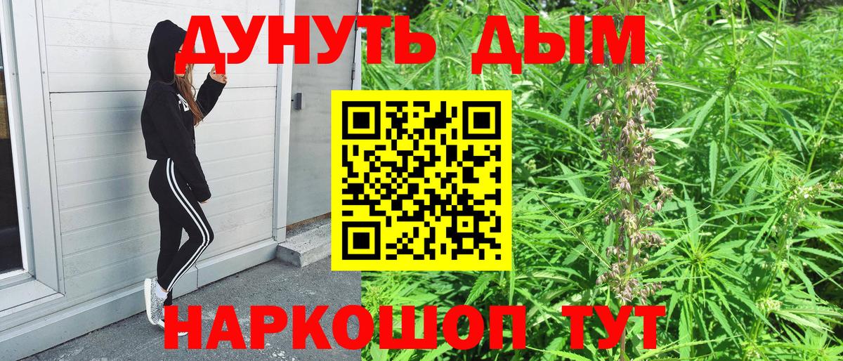 Конопля ГИДРОПОН Новозыбков