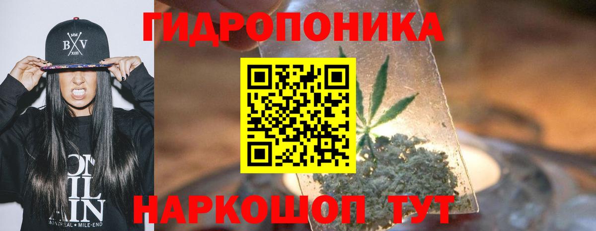 Конопля Ganja  Конопля OG Kush  Новозыбков 